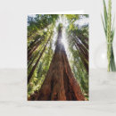 Suche nach redwood karten Rostrot
