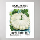 Suche nach squash poster Garden