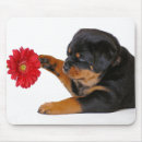 Suche nach rottweiler hund mousepads Liebe