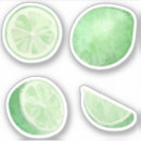 Suche nach lemonade aufkleber Aquarell