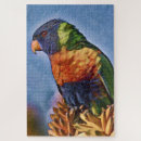 Suche nach parrot puzzle Lorikeet