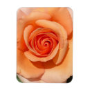 Suche nach peach magnete Sommer