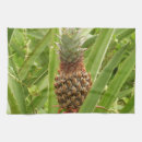 Suche nach tropische früchte geschirr tücher Grün