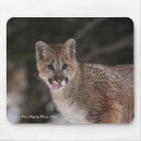 Suche nach wilde katzen mousepads Natur