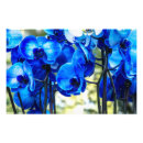 Suche nach blaue orchideen poster Elegant