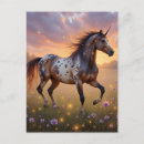 Suche nach appaloosa postkarten Schön