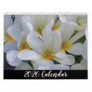 Suche nach blumen kalender Tulpen
