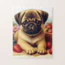 Suche nach niedlicher mops puzzle Niedliche hunde