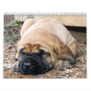 Suche nach freier raum kalender Welpe