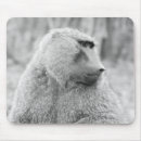 Suche nach konzentration mousepads Natur