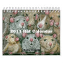 Suche nach ratten kalender Maus