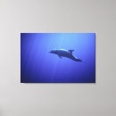 Suche nach delfin leinwandbilder Tier