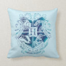 Suche nach harry potter kissen Aguamenti
