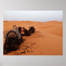 Suche nach kamele poster Sand