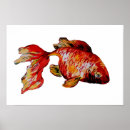 Suche nach goldfische poster Rot