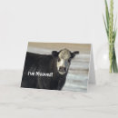 Suche nach bewegten sich karten Tier