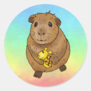Suche nach meerschweinchen aufkleber Niedlich