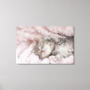Suche nach sleeping kitten poster Horizontal