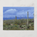 Suche nach arid postkarten Landschaft