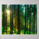Suche nach sonnenlicht poster Landschaftlich