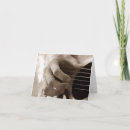 Suche nach gitarristen karten Musik