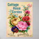Suche nach vintage blumen poster Illustration