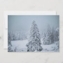 Suche nach nadelbaum karten Winter