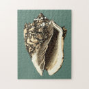 Suche nach schatz puzzle Meer