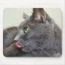 Suche nach katzengeschenke mousepads Kitty