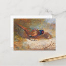 Suche nach fasan postkarten Tier