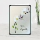 Suche nach weiße orchideen karten Freund