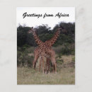 Suche nach gekreuzt postkarten Natur