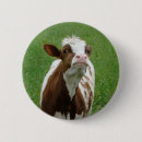 Suche nach molkerei buttons Tier