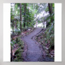Suche nach el yunque poster Natur