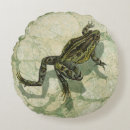 Suche nach die amphibien kissen Natur