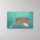 Suche nach schildkröte leinwandbilder Unterwasser
