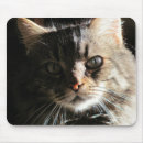 Suche nach das gesicht mousepads Friend