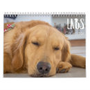 Suche nach arbeit kalender Hunde