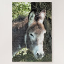 Suche nach niedlicher esel puzzle Pferd