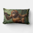 Suche nach orang utan baby kissen Babyorangutan