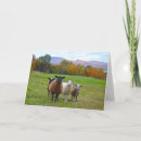 Suche nach guter schäfer karten Lustig