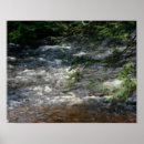 Suche nach sorten poster Natur