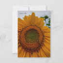 Suche nach bienen kleine grußkarten Blumenreich