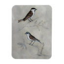 Suche nach vogel magnete Tier