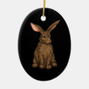 Suche nach kaninchens ornamente Niedlich