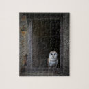 Suche nach eule puzzle Vogel