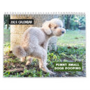 Suche nach lustig kalender 2026
