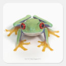 Suche nach frosch spaß aufkleber Tier