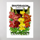 Suche nach seed poster Vintag