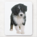 Suche nach würstchen mousepads Hund